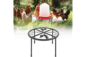 Chicken Water Stand: Heavy-Duty Iron Support for Coop Poultry, Indoors or Outdoors