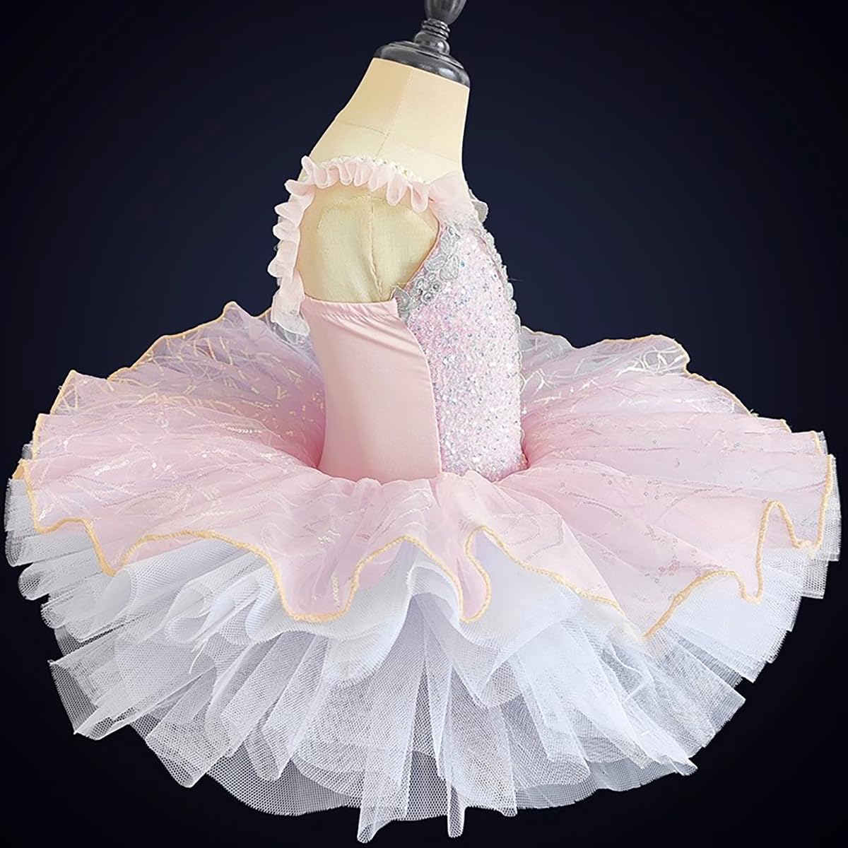 Girls Ballet Leotard Swan Lake Ballet Dance Outfit Tutu Princess Dress Ballerina Outfit for Performance
