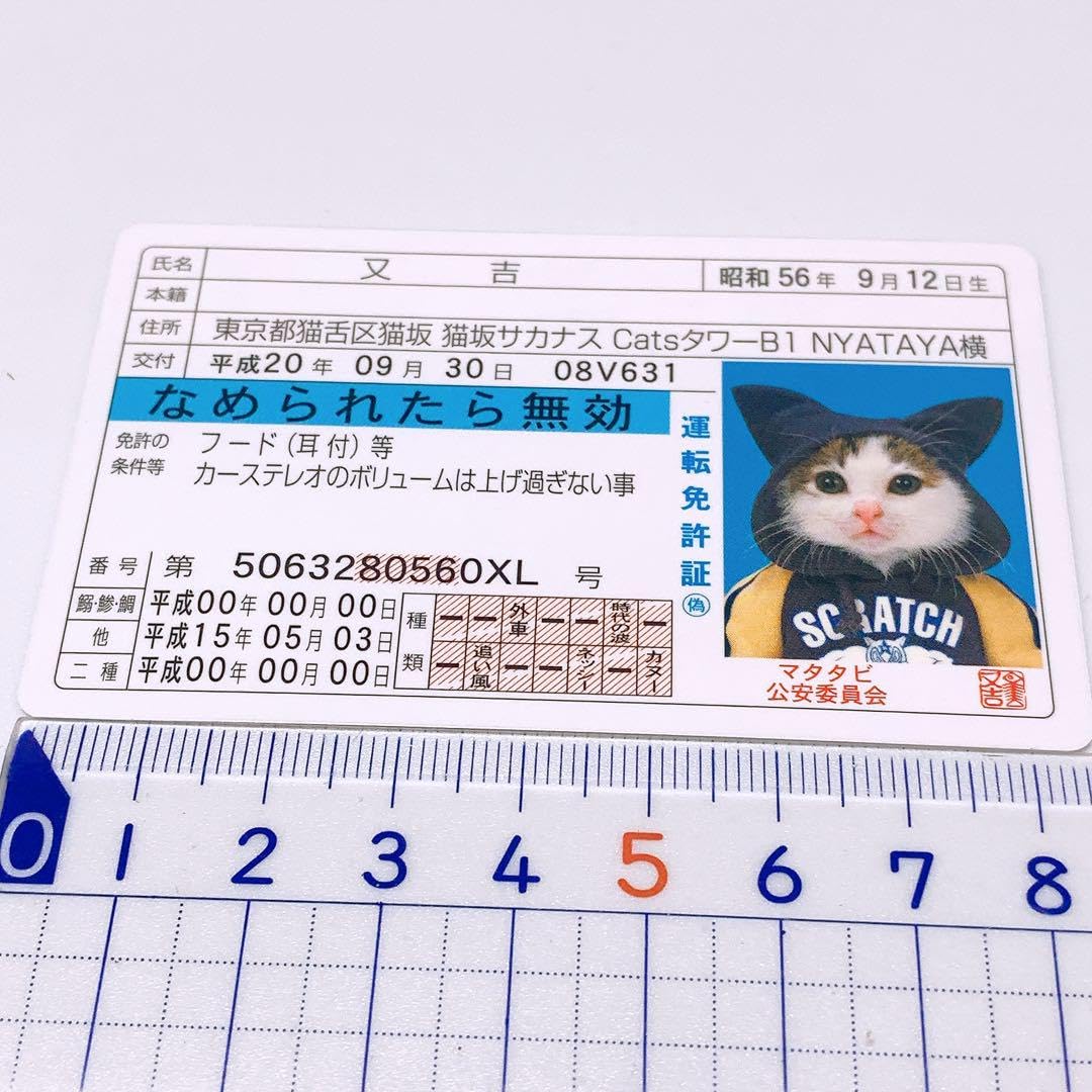 Amazon.co.jp: なめんなよ なめ猫免許証又吉 : おもちゃ