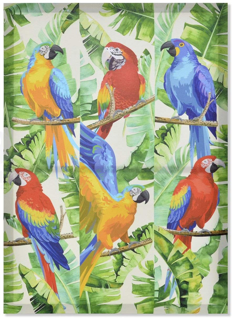 Cadre toile perroquet oiseau exotique pour un salon au style tropical