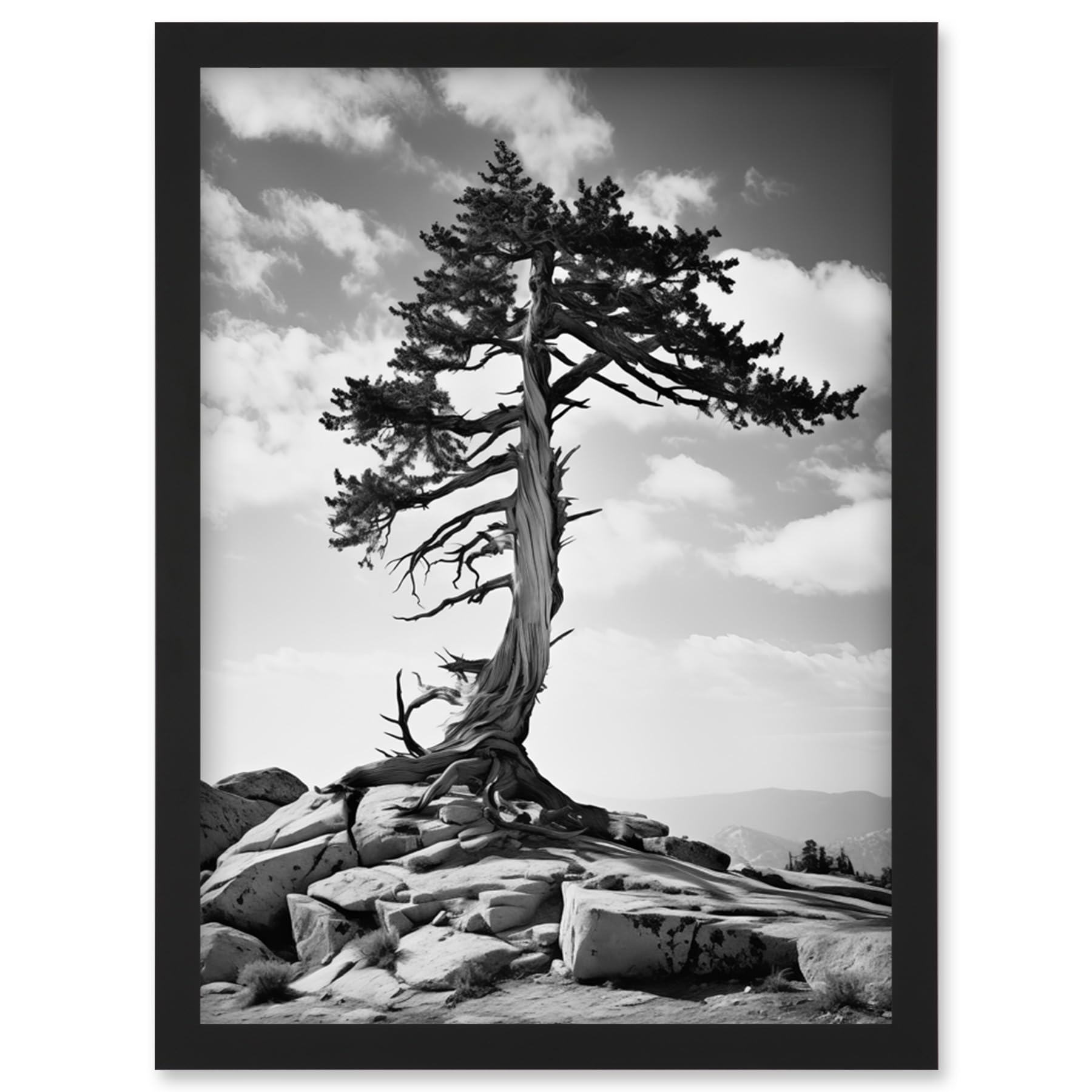 Artery8 Weathered Jeffrey Pine Standing on a Rocky Hill Black and White Photograph Lone Tree Artwork Framed Wall Art Print A4