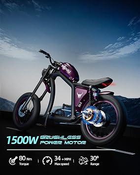 BIGNIU BG-X Electric Bike for Adults,1500W Brushless Motor 48V/31.5Ah Up to 40 Miles E-Bike Front/Rear Turn Signal Dual Suspension Ebikes