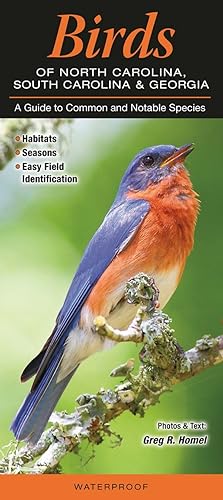 Birds of North Carolina, South Carolina &amp; Georgia: A Guide to Common &amp; Notable Species