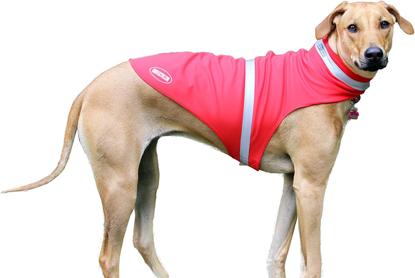 Game Trail Camera 1080P 12MP with Sound Scouting Camera with 2.4in LCD Screen No Glow Black Infrared Night Vision 0.5s Trigger Speed IP66 Waterproof for Wildlife Hunting Monitoring and Farm Security …