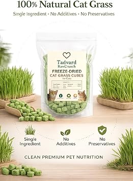 Freeze Dried Cat Grass Treats – 100 g | Single Ingredient Cat Grass Cubes | Natural Fibre Cat Treats | Training & Enrichment