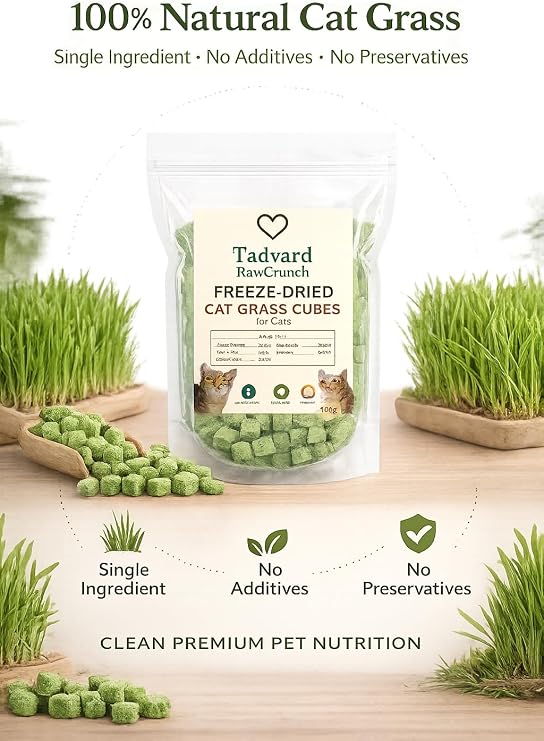 Freeze Dried Cat Grass Treats – 100 g | Single Ingredient Cat Grass Cubes | Natural Fibre Cat Treats | Training & Enrichment