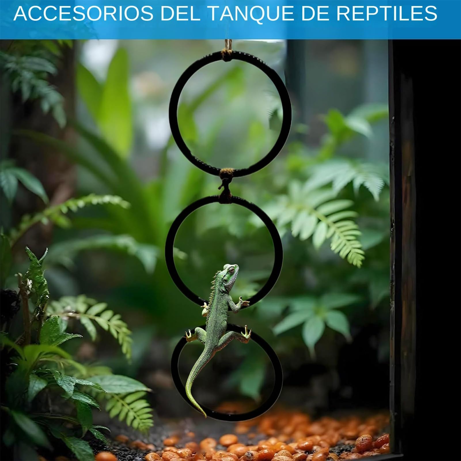 Juguetes De Enriquecimiento para Serpientes - Accesorios para Hábitat De Reptiles,con Aro Y Cadena Juego Interactivo para Anfibios Y Hábitat Interior para Mascotas