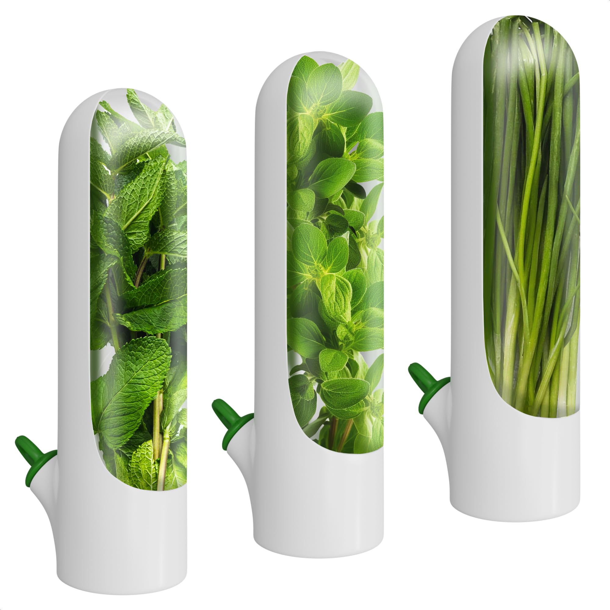 Amazon｜Herb Saver Best Keeper 新鮮な野菜用 長持ち 冷蔵庫ハーブ