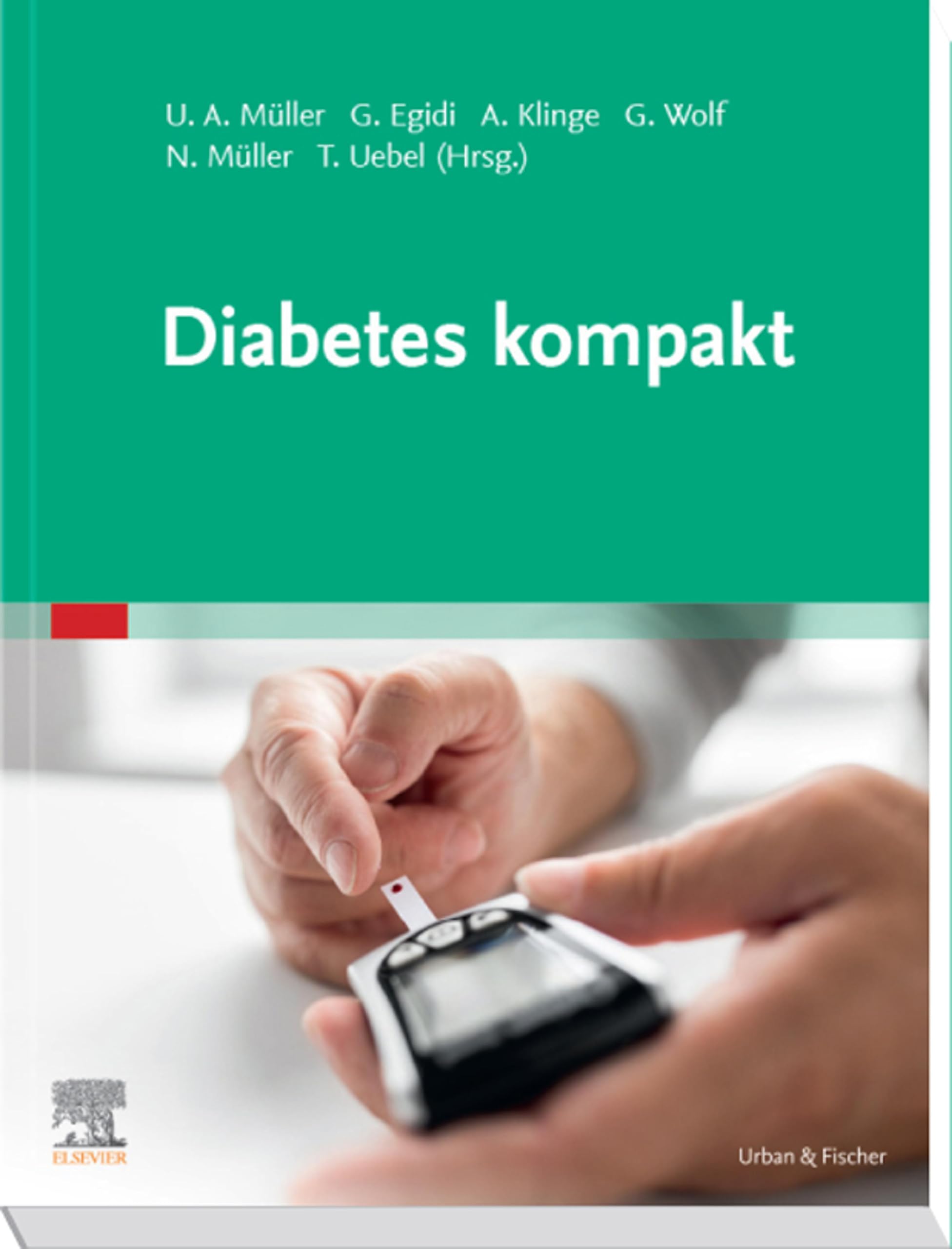 Diabetes kompakt (MONOGRAPHIE - Fachbuch - Urban & Fischer-Verlag)
