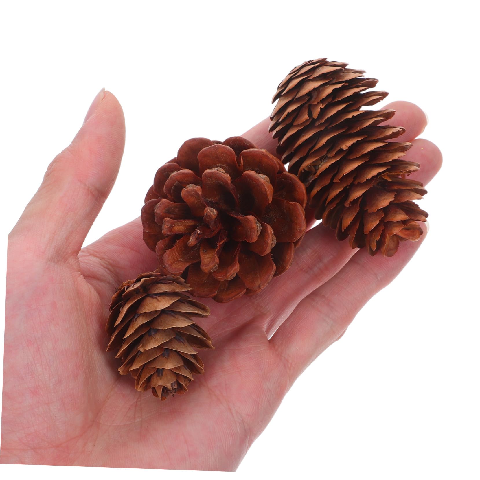 Garneck 120 Piezas Mini Piñas de Pino Naturales para Manualidades Decoraciones Navideñas Relleno para Jarrones Guirnaldas y Adornos Rústicos para Bodas y Fiestas