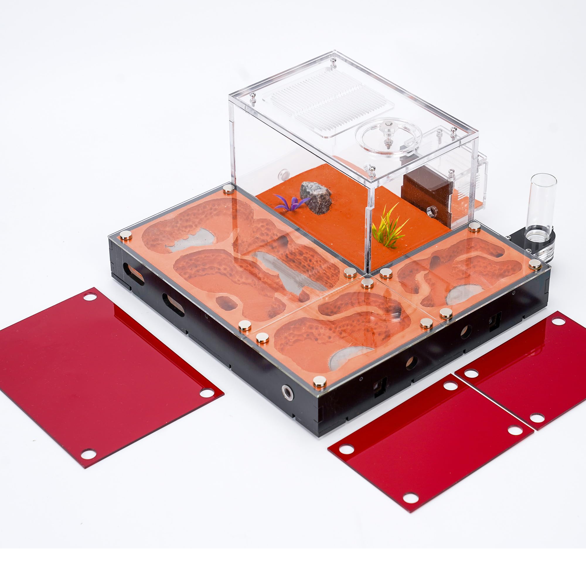 Formicaia ecologica modulare con coperture magnetiche in vetro, controllo umidità, ventilazione e porte di espansione, perfetto per gli appassionati di formiche (27,0 x 25,0 x 13,0 cm)