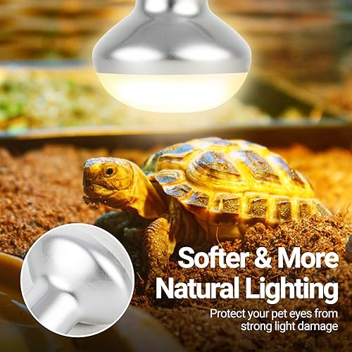 Vista 25 de REPTI ZOO Bombilla de calor para reptiles de 150 W, paquete de 2 luces de neodimio, lámpara de calefacción de luz solar UVA para anfibios y pollos