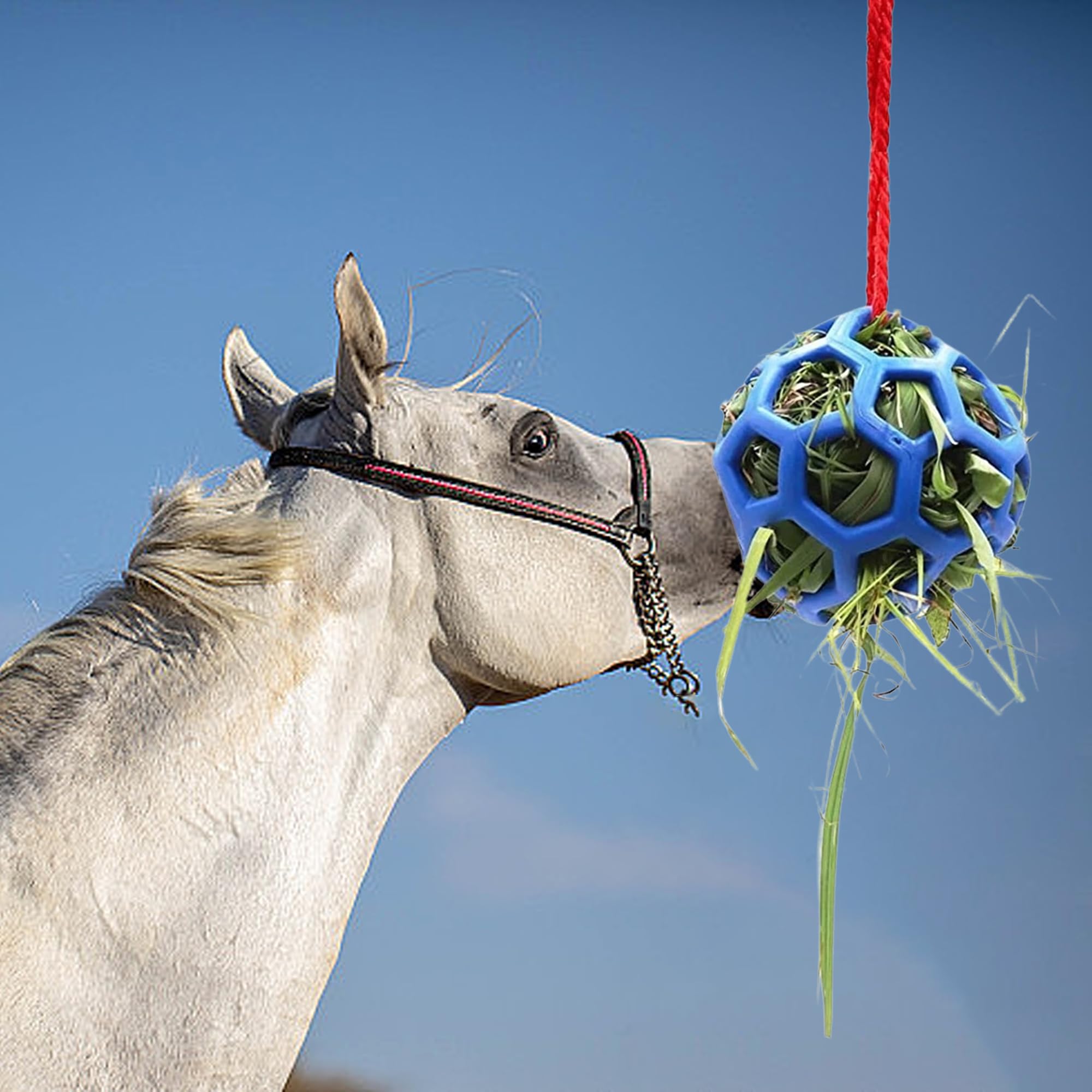 QSLKI 3PCS Jolly Hay Ball Stall Toy for Horses Horse Treat Ball Hay Feeder Holder Hanging Slow Feeding Toy with Rope - Image 3