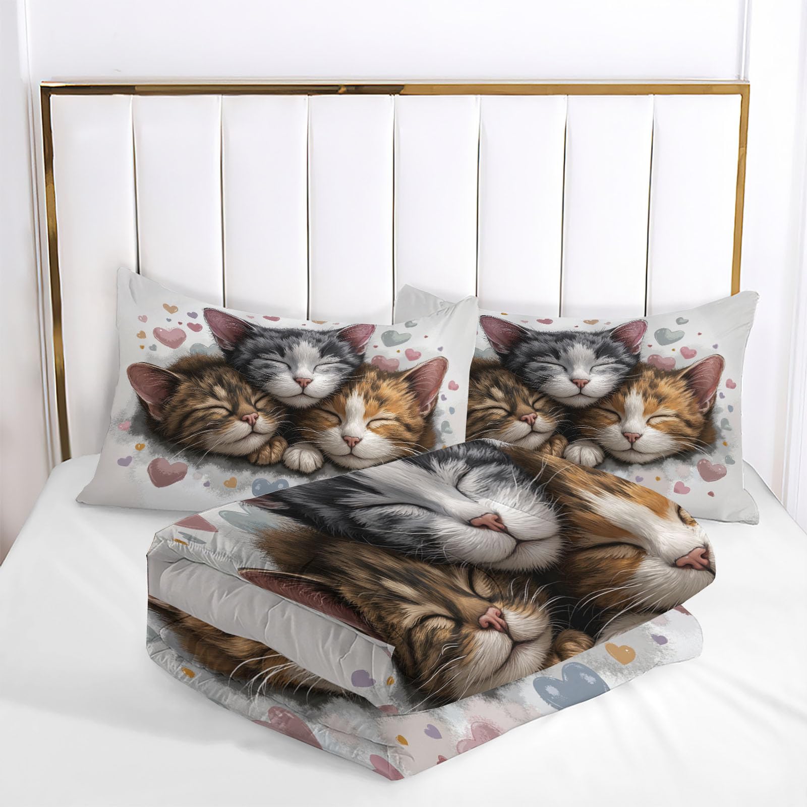 Trapunta Letto Singolo 4 Stagioni Piumone per Bambini, Cartone Animato Tre Gatti Leggero Carini Animali Set di Biancheria da Letto 140x200cm con 1 Federe,Piumino Lavabile In Lavatrice