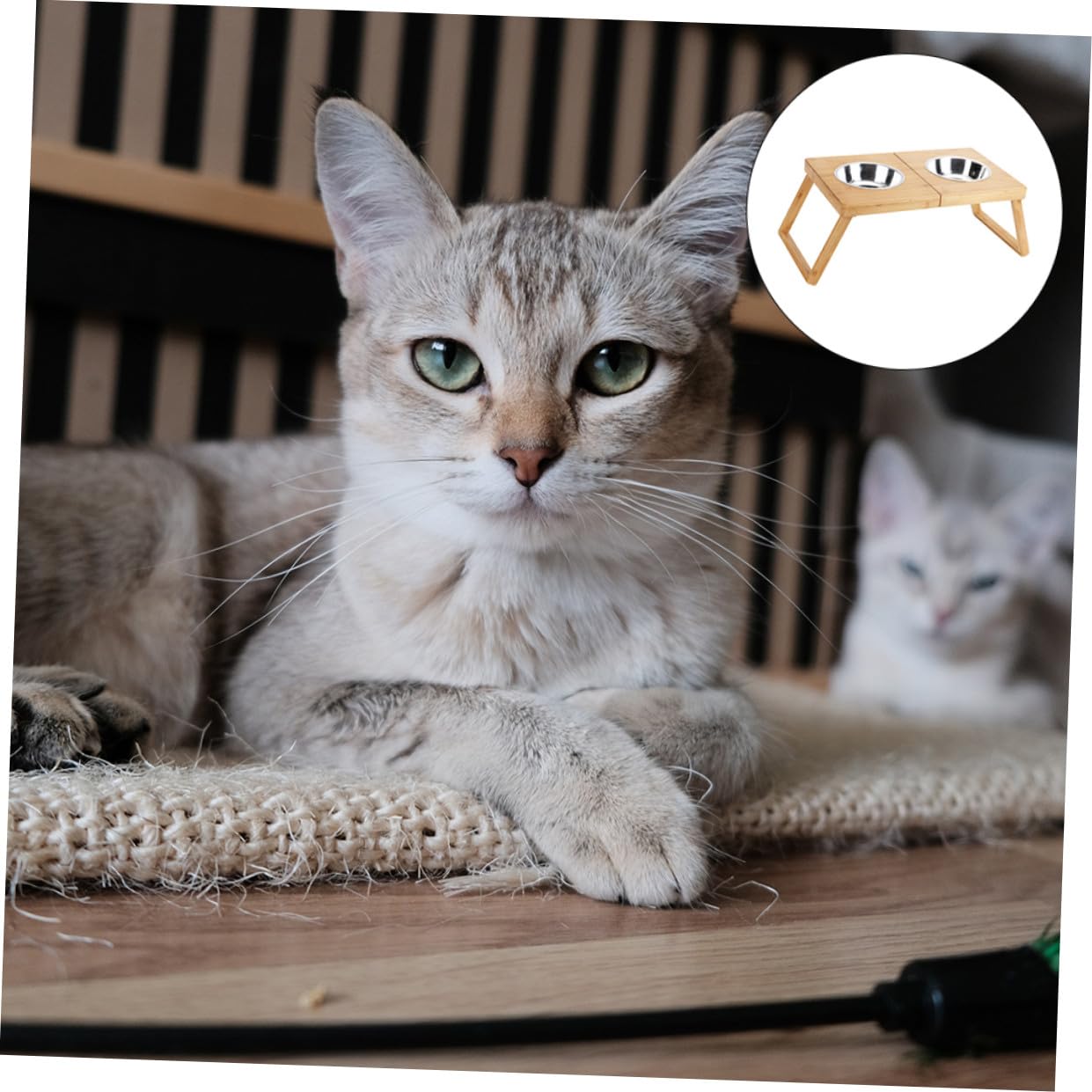 Yardwe 1pieza Comedero Doble para Perros y Gatos Soporte De Acero Inoxidable Diseño Fácil De Limpiar y Resistente Deformaciones