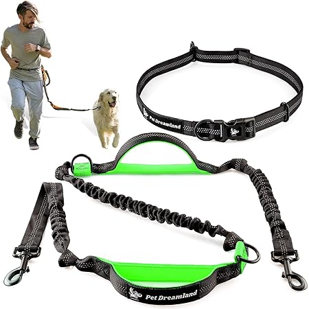 kong running leash
