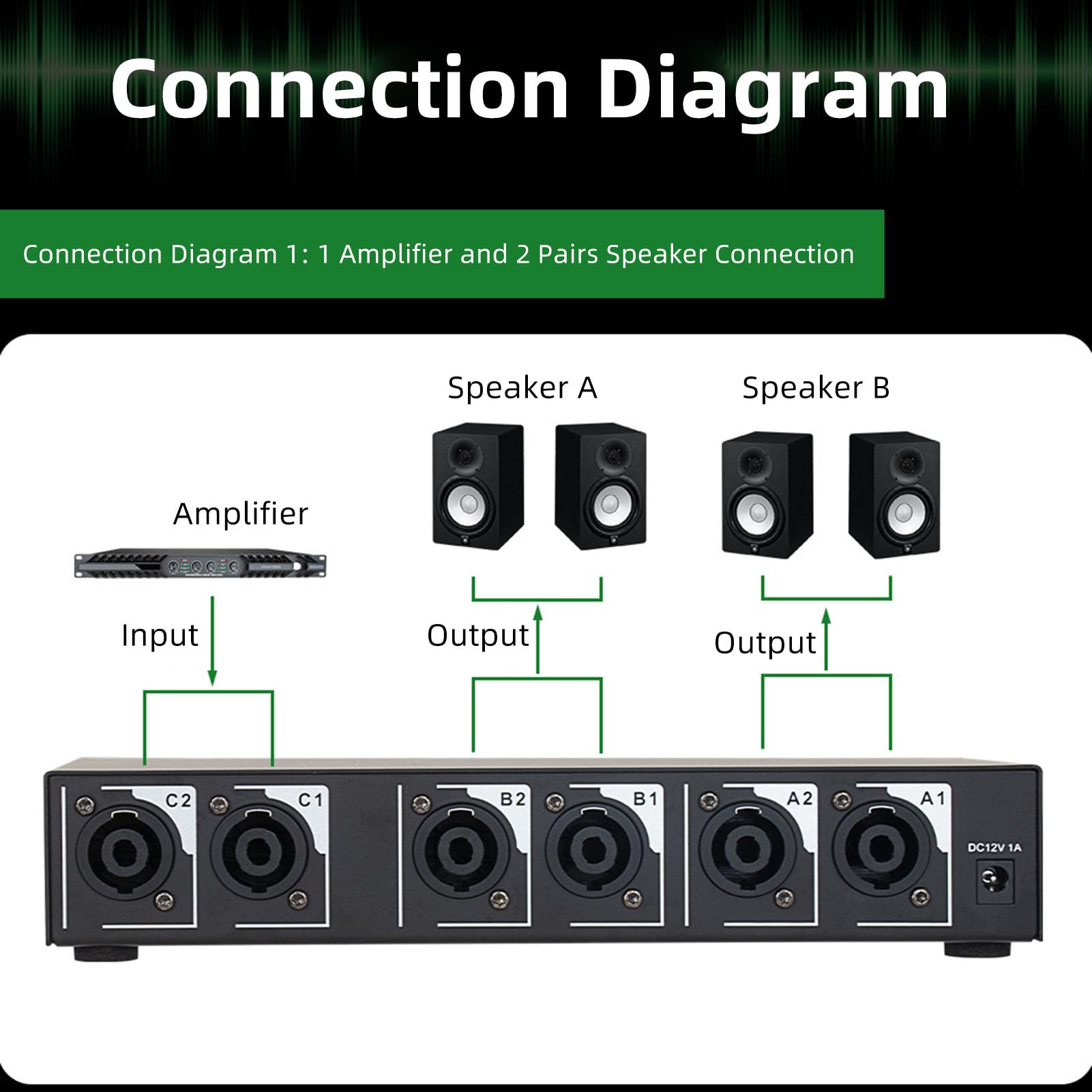 Selettore Manuale per Altoparlanti a 2 Zone, Commutatore con Interfaccia XLR e Telecomando, per Sistemi Audio (Spina europea)