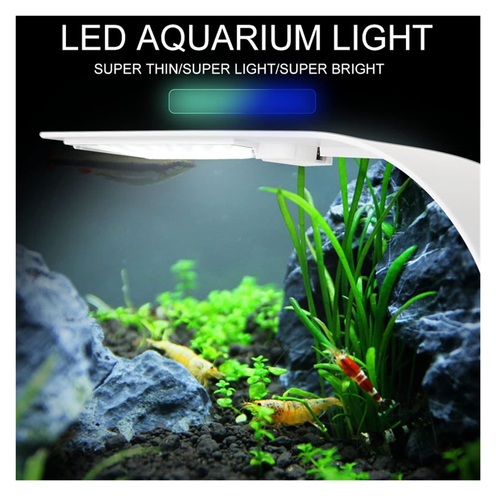 Luz de Acuario LED Ultrafina 5W / 10W / 15W Iluminación de Plantas acuáticas Lámpara con Clip a Prueba de Agua para Plantas de Tanque de Peces Luz de Cultivo (Color : X3 White Lig