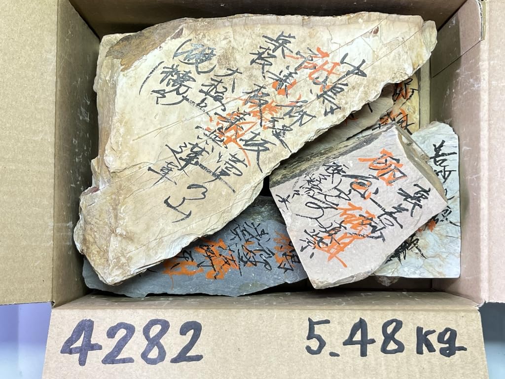 Amazon.co.jp: 天然砥石 山城銘砥 原石粗石 巣板と硬い祭り 奥殿 中山