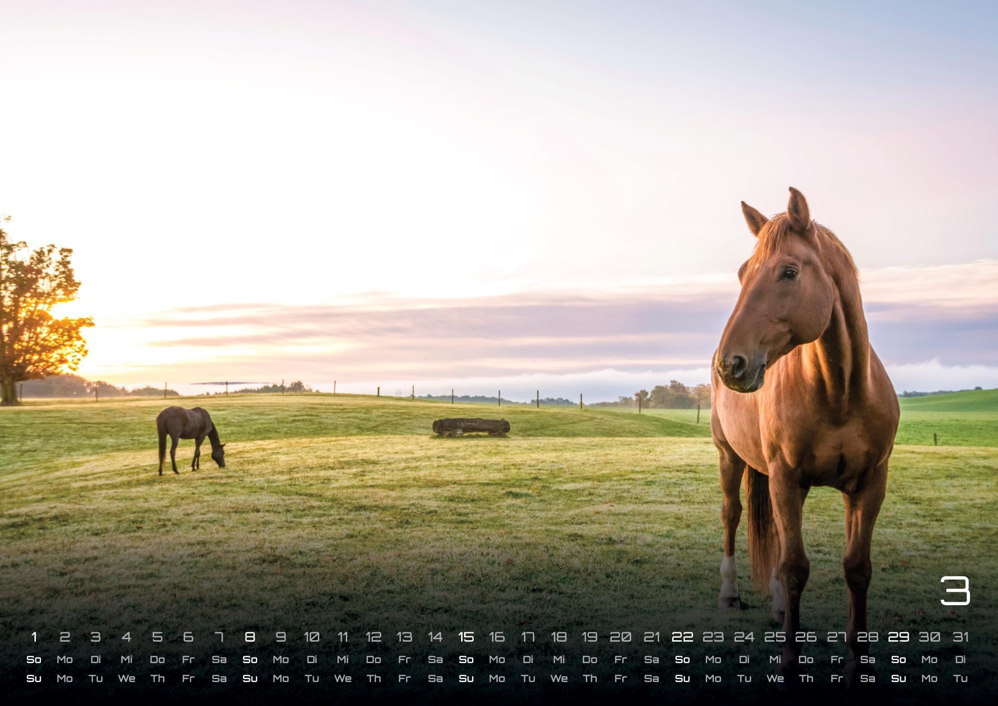 Pferdegeflüster - Der Pferdekalender - 2026 - Kalender DIN A2: Der Wandkalender mit den schönsten Pferde-Motiven für das Jahr 2026 im extragroßen Format DIN A2 (ca. 60 x 42 cm)!