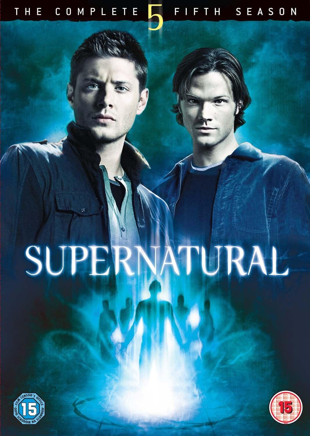 Supernatural: Season 5 [DVD] [2005]
