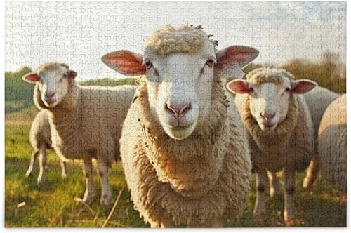 Kigai Divertido rompecabezas de 500 piezas con patrón de ovejas para niños, adolescentes, adultos, familia, 20.5 x 14.9 pulgadas