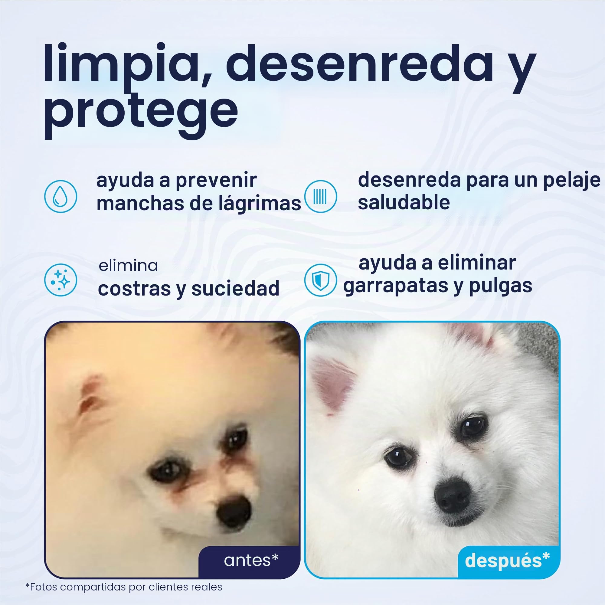 Petpost | Peine Cepillo Limpiador de Manchas Oculares para Perros – Con Dientes Extra Finos para Quitar Eficientemente Costras y Mucosidad a tu Shih Tsu o Maltés