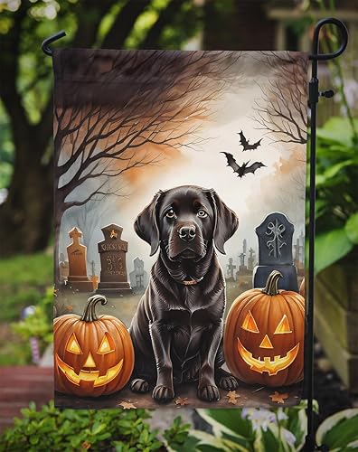 Miniatura 257 de Caroline's Treasures DAC2011GF - Bandera decorativa para jardín de Halloween con diseño de beagle para jardín, jardín, jardín, jardín, multicolor