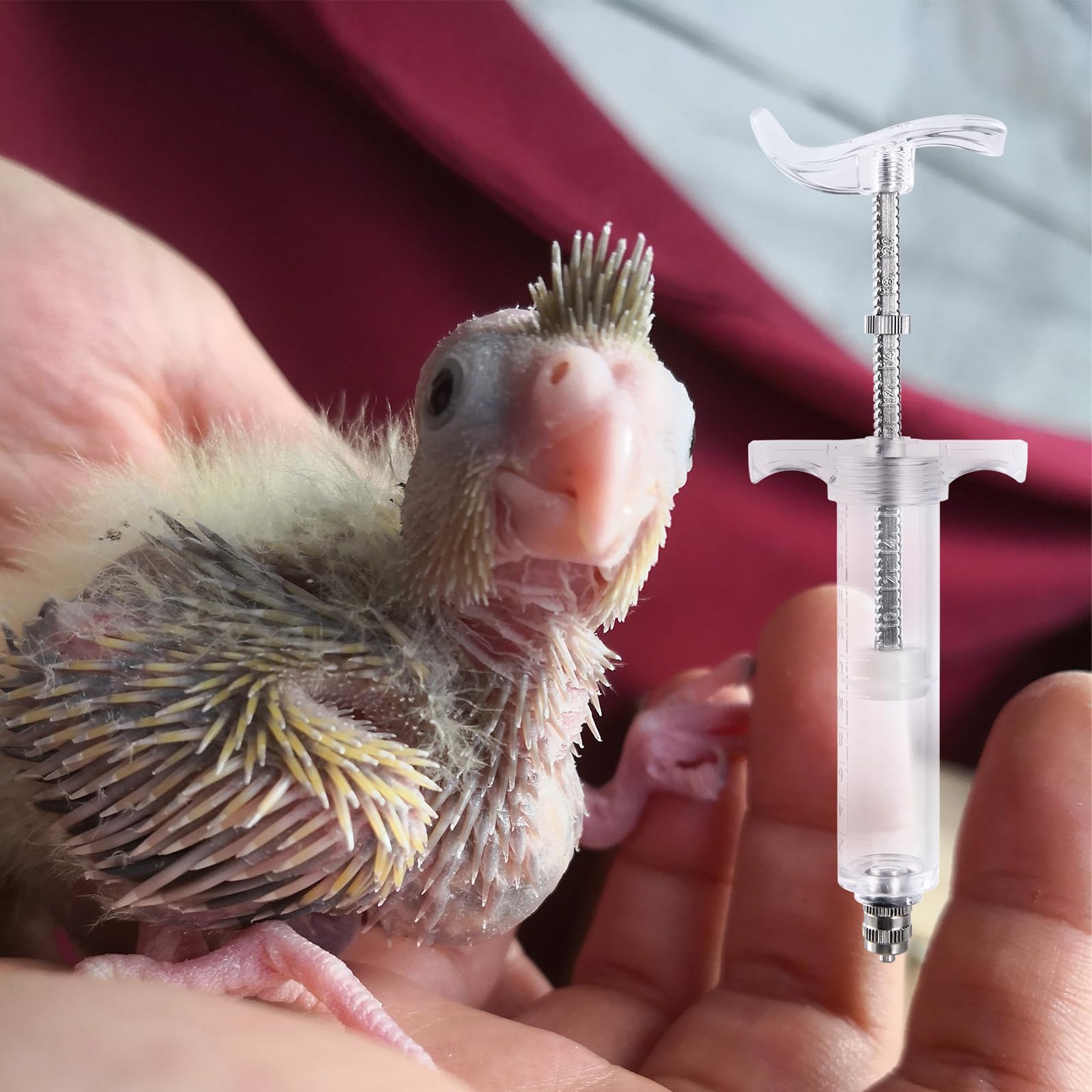 Manuelle Fütterungsspritze für Babys, 20 ml, mit 6 gebogenen Hohlröhrchen und Edelstahl-Metall-Futterlöffel für Babys, Vögel, Papageien, kleine Haustiere