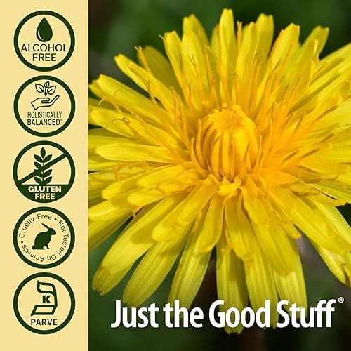 Miniatura 4 de Nature's Answer Extracto de raíz de diente de león sin alcohol, 2000 mg de 1 oz, promueve el bienestar general, apoyo inmunológico, limpia y