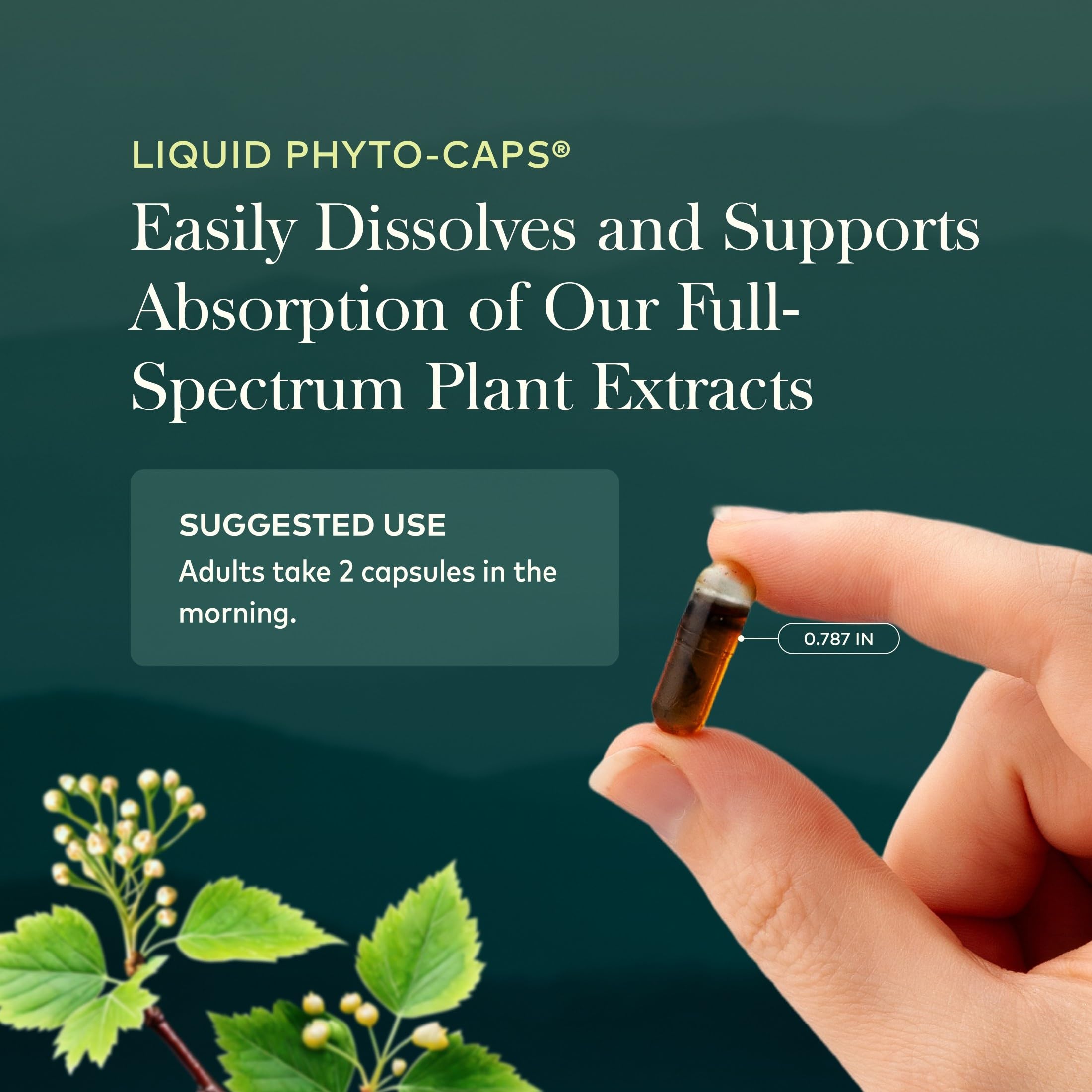 System Support - Adrenal Health 60 vcaps
