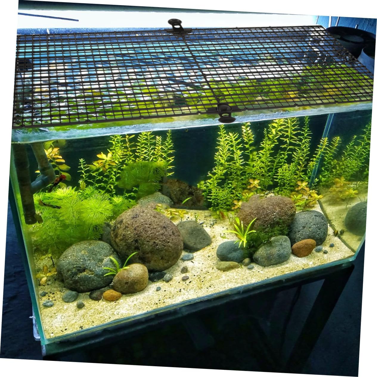 1set Aquarium Isolation Board of Fish Tank Cups Divider for Floating Plants Prevent Fish Jumping Create Peaceful Environment