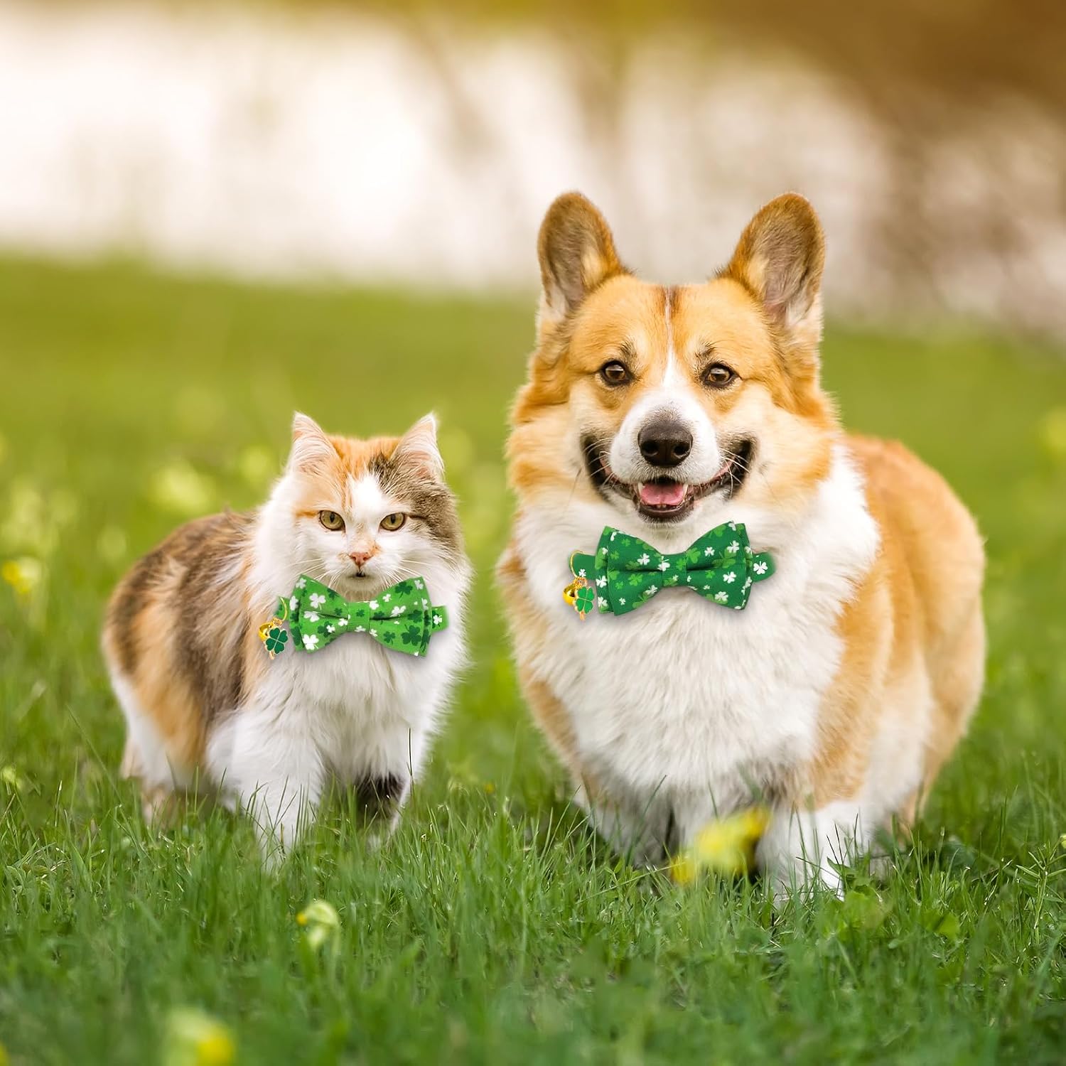 JarThenaAMCS 2Pcs St. Patrick's Day Cat Collar Shamrock Breakaway Kitten Collar with Bow Tie Adjustable Green White Clover Pet Collars with Bell for Girl Boy Cat Small Pet image 5