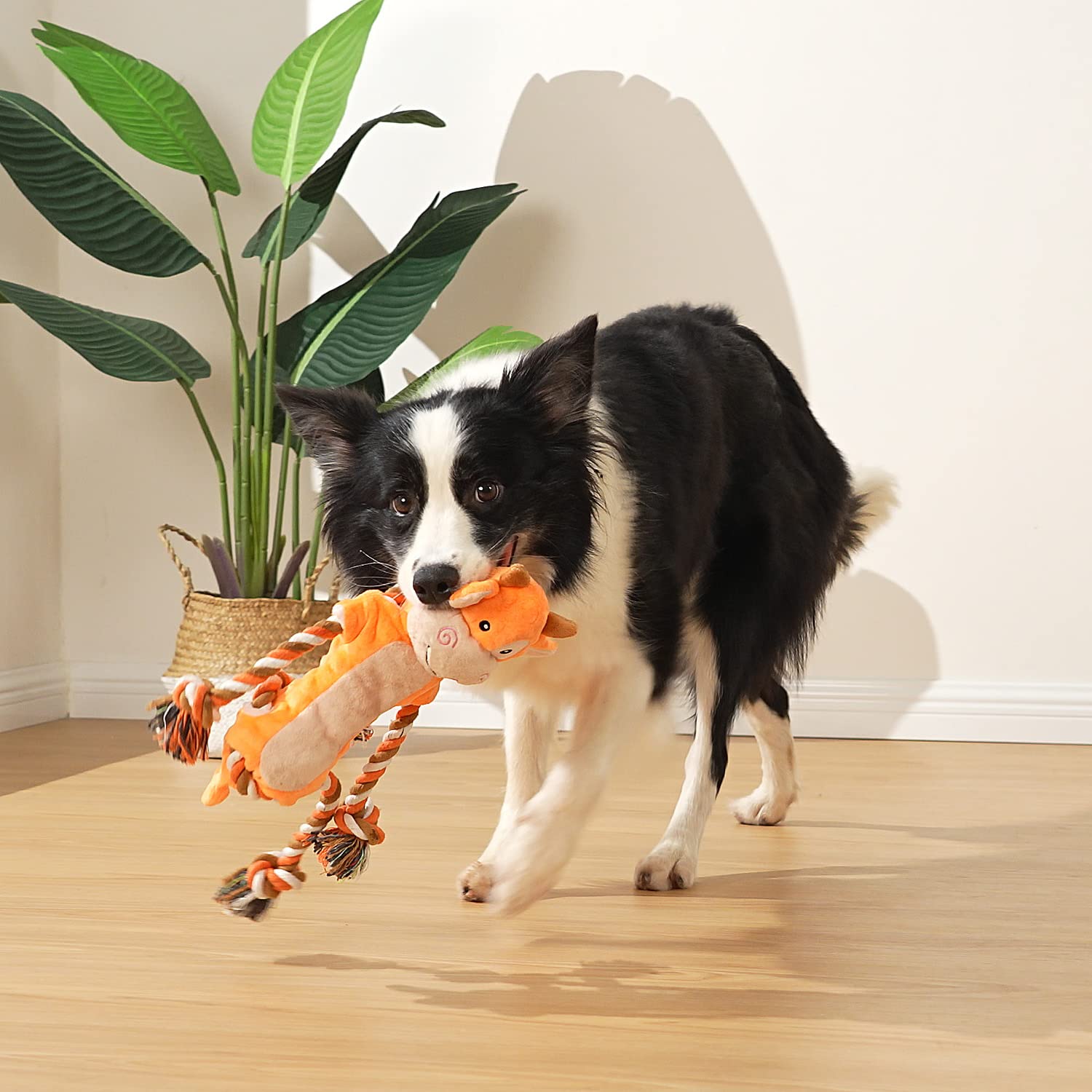 Sedioso Juguetes para perros, juguetes para perros de tira y afloja para razas grandes, lindo juguete interactivo chirriante con papel arrugado, juguete de peluche para perros pequeños, medianos y