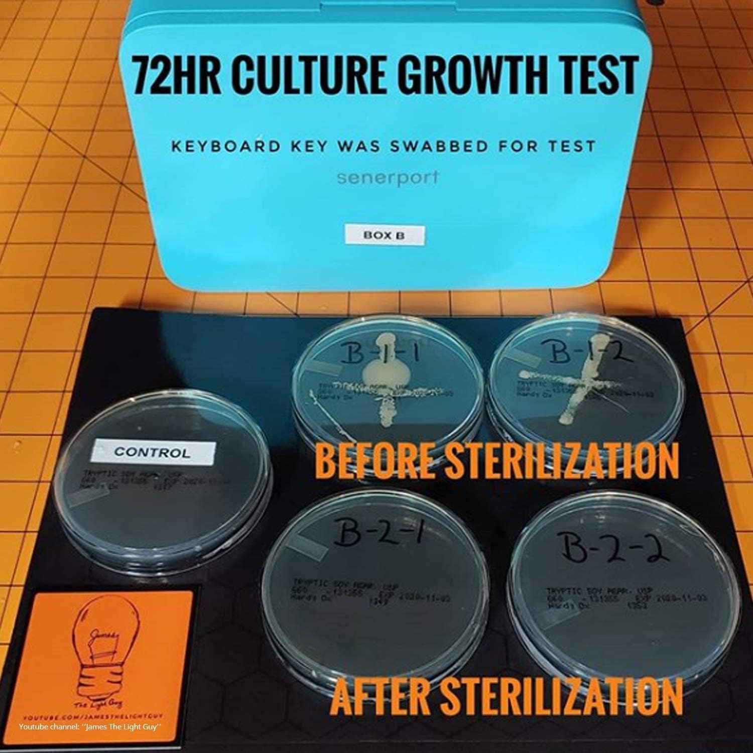 Black Friday - 60% OFF UV Cell Phone Sanitizer Box Wireless Charger - Senerport 3 in 1 Steri Cleaner Box with 10W Qi Wireless Charger and Dual USB Outputs Charging Ports, Kills Rate up to 99.99% White