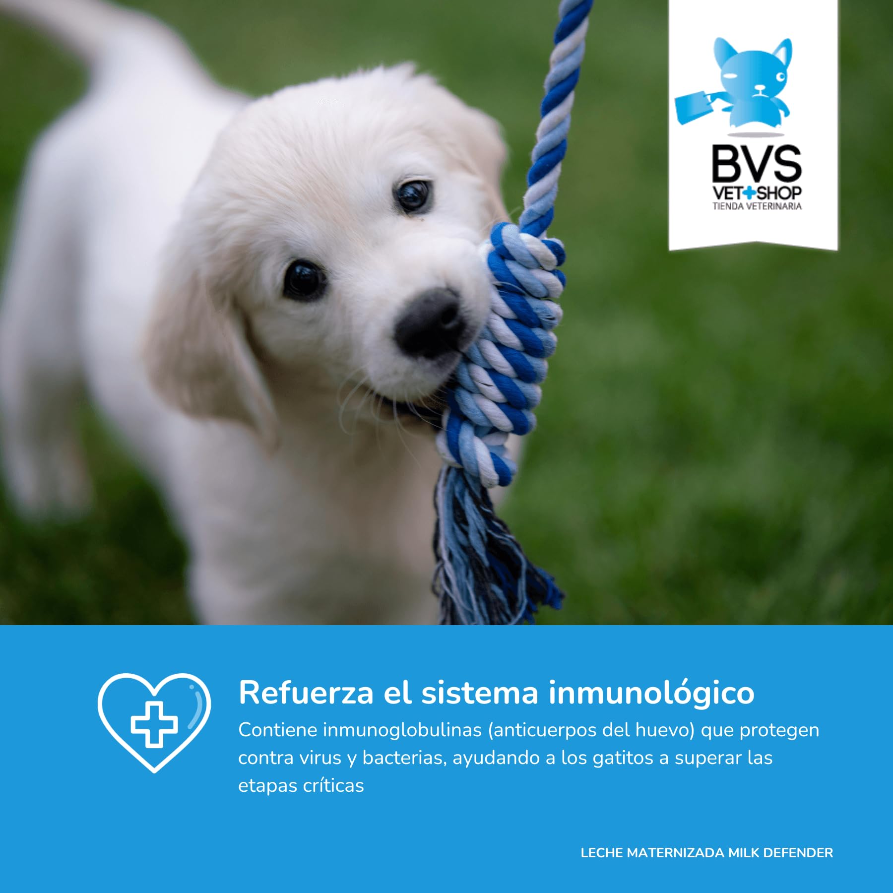 BVS Vet Shop | Leche Maternizada para Perros Milk Defender | Alimento Completo de Lactancia para el Cuidado Integral de Perros Cachorros | 1 unid. x 420 gr