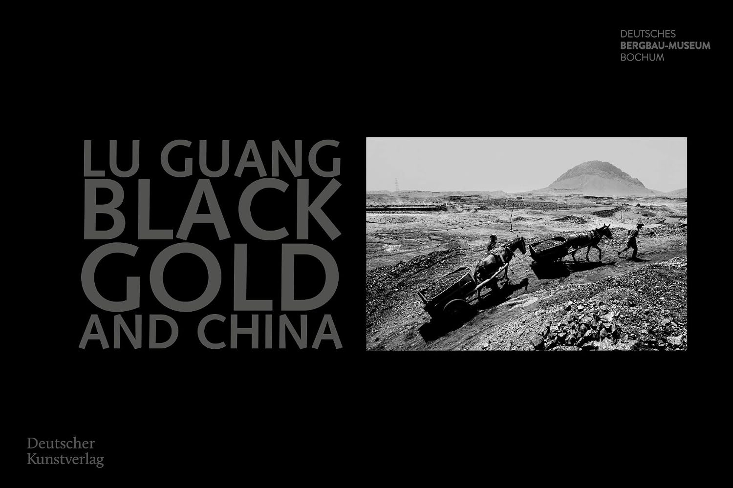Black Gold and China: Fotografien von Lu Guang (German Edition)