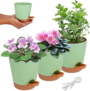 Self-Watering Indoor Plant Pots