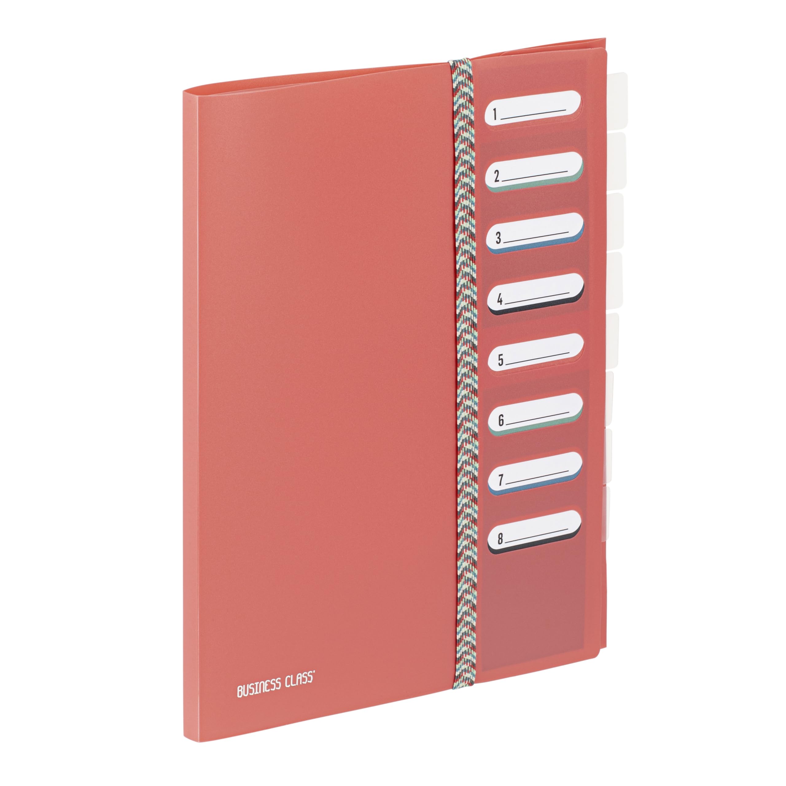 Viquel - Business Class 8 Compartments A4 File Organiser with Elastic Closure for Office and Home - Coral Red