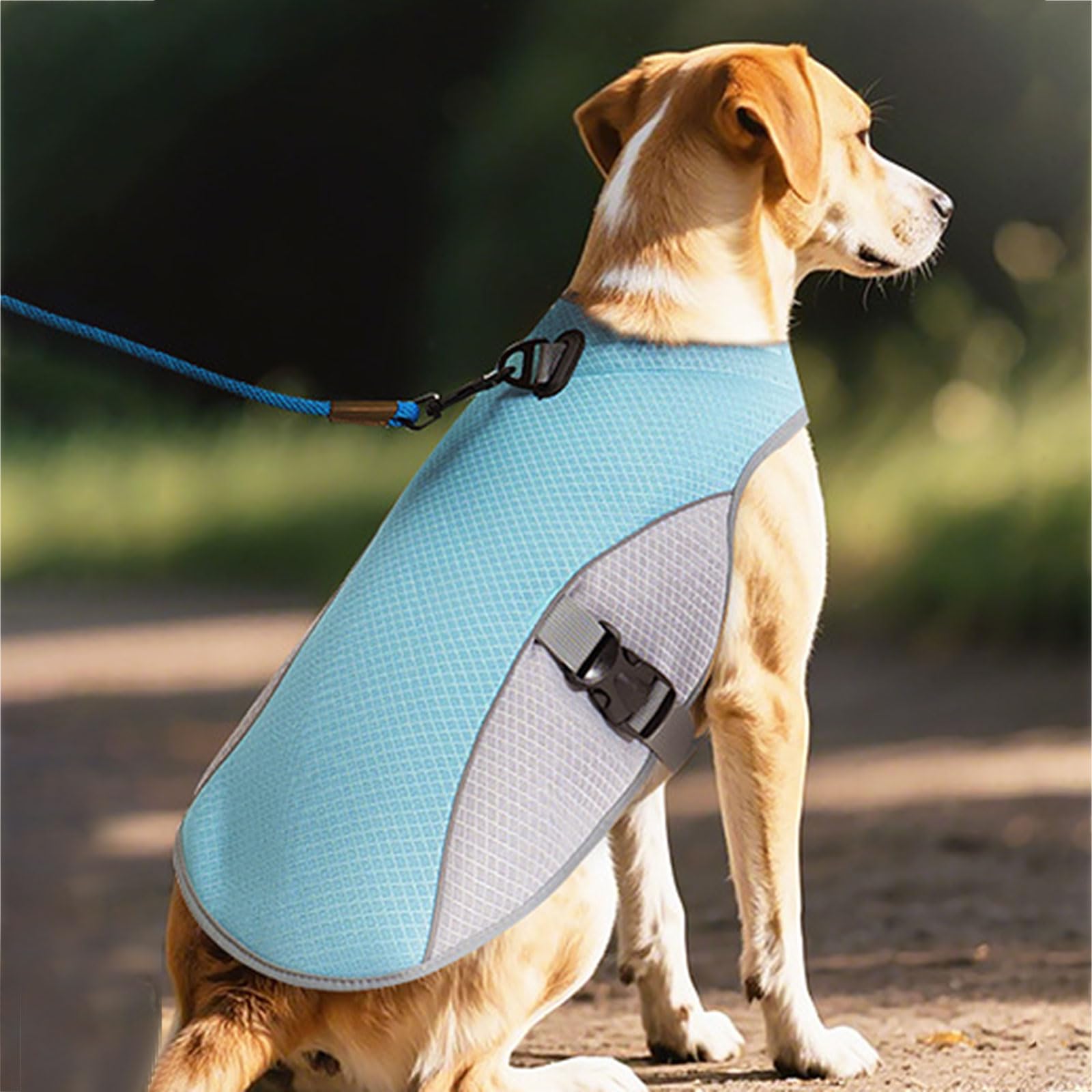 Dog Cooling Vest, Upgraded Harness Cooler Jacket with Adjustable, Titanium D-Rings and Breathable Lightweight Cool Pet Vest for Small Large Dogs