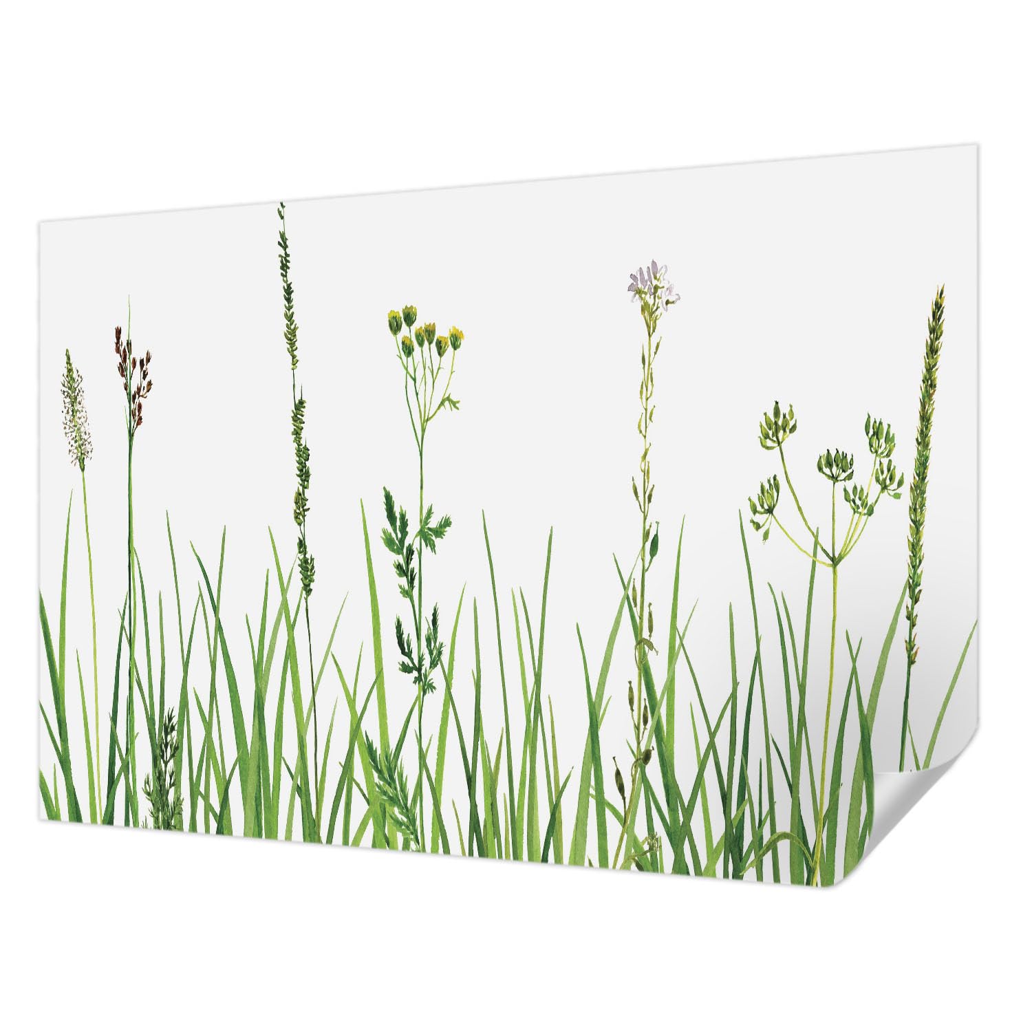 Papier peint adhésif pour chambre et salon style flore subtile Tulup