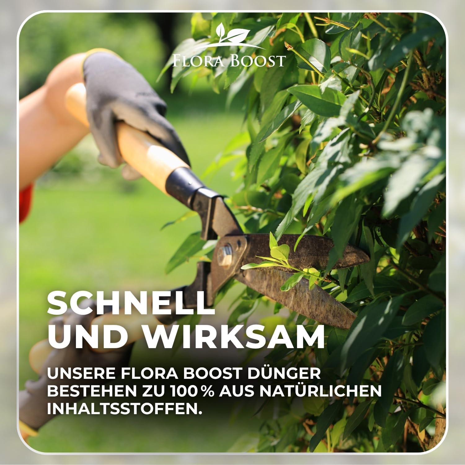 Flora Boost PRO Hecken Dünger 5 kg I Langzeitdünger NPK 8-4-5 für Thuja, Liguster, Hainbuche & Kirschlorbeer I Granulat für dichte Hecken, kräftiges Wachstum & gesunde Pflanzen
