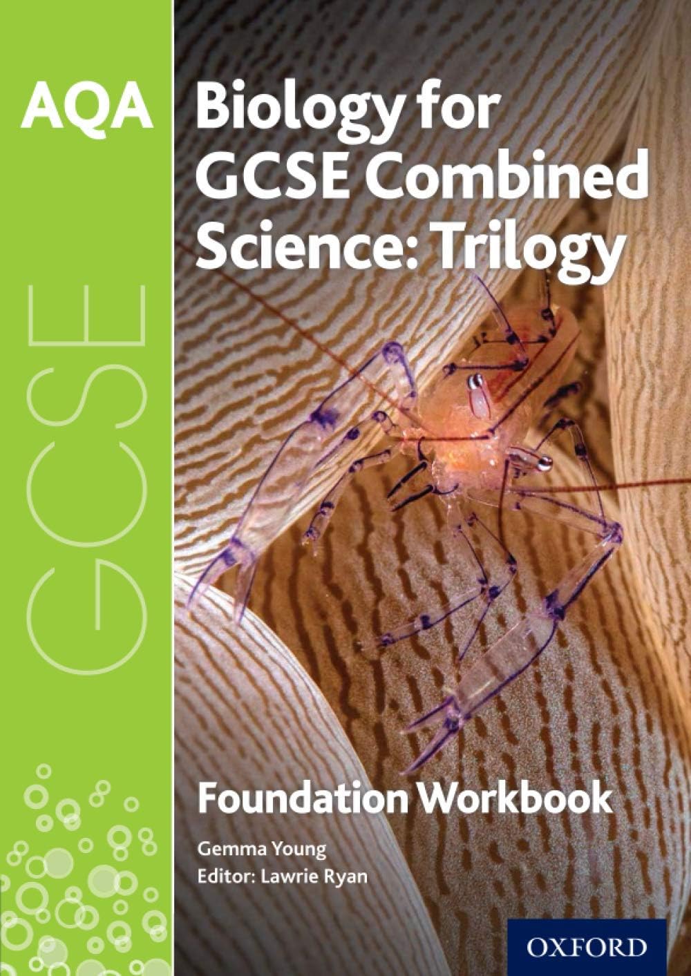 AQA GCSE Biology for Combined Science (Trilogy) Workbook: Foundation: With all you need to know for your 2022 assessments (AQA GCSE Science 3rd Edition)