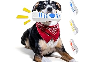 Squeaky Dog Chew Remote Control Toys for Tough Chewers