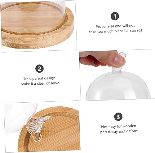 Miniatura 7 de SOIMISS Cubierta de cristal de flor Eternal Flower Glass Cakes Glass Cloches para plantas Portavelas transparente Recipientes de postre