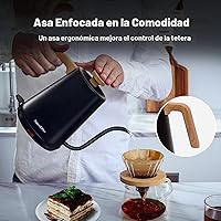 Vista 5 de Nueve&Five Hervidor eléctrico de cuello de cisne con termómetro, hervidor eléctrico negro de 1 litro con apagado automático, hervidor de agua