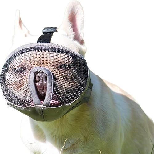 Miniatura 9 de Bozales cortos para perro, bozal ajustable de malla transpirable para morder, masticar, ladridos, entrenamiento de perro, negro (ojo), M