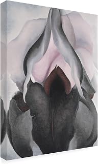 Wrapped Canvas Wall Art - Georgia O'Keefe 'Black Iris' Wall Art for Living Room, Bedroom, or Office Décor - 24x32