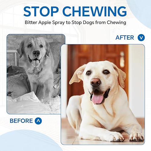 Miniatura 4 de Spray mejorado sin masticar para perros, 6.76 onzas líquidas de manzana amarga para perros, deja de masticar y lamer, el espray disuasorio para