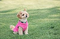 Vista 4 de JACKO & CO - Chaleco de forro polar para perro con anillo para correa - Abrigo suave, cálido y ligero para perros, cachorros y gatos pequeños